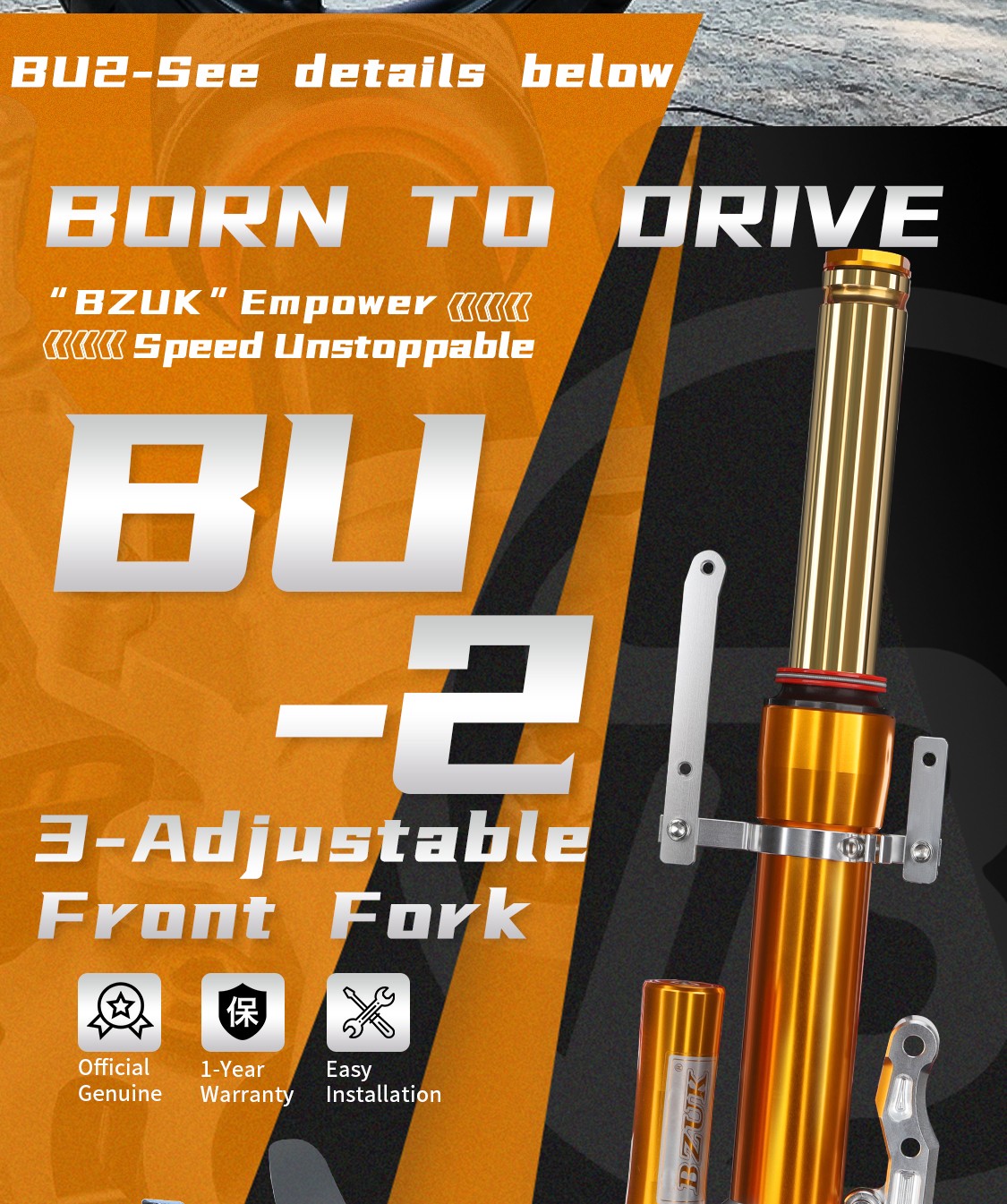 BU2_05.jpg